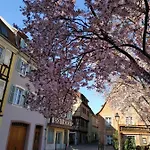 Сasa de vacaciones Au Brochet Colmar