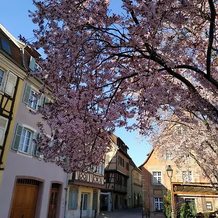 Vakantiehuis Au Brochet Colmar