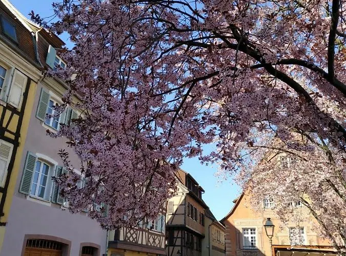 Semesterbostad Au Brochet Colmar
